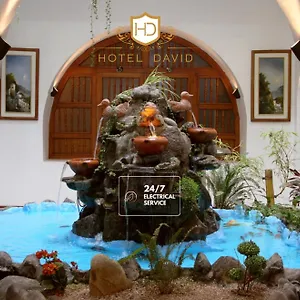 3* Отель David
